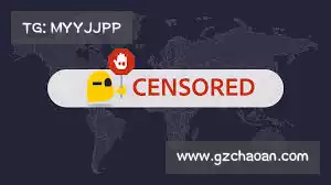 白鲸VPN——智能流量调控,助您畅享极速网络,无缝连接体验!